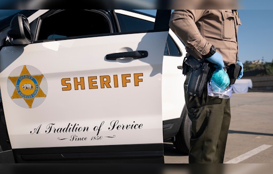 Wild Los Angeles Chase Ends with K-9 Takedown in Long Beach After Rampage Through SoCal Streets