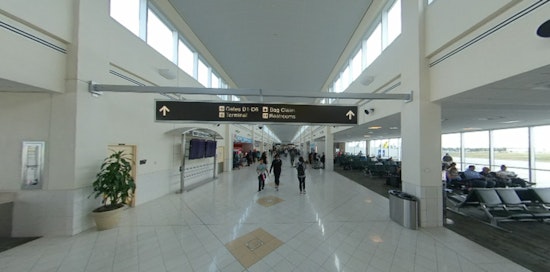 Woman Accused of Smuggling Rare Sea Cucumbers in Luggage at South Florida Airport