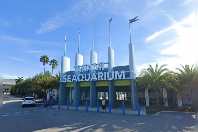 Woman's Body Discovered Floating Near Miami Seaquarium, Police Investigation Underway