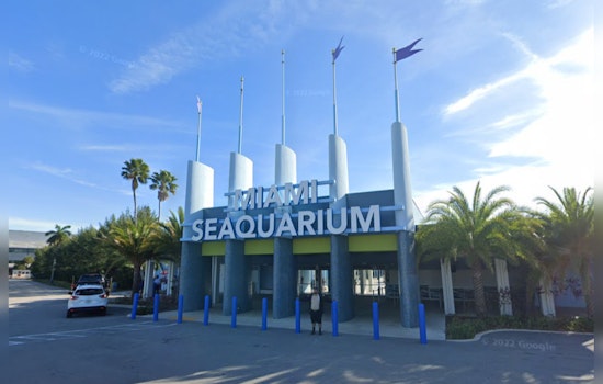 Woman's Body Discovered Floating Near Miami Seaquarium, Police Investigation Underway