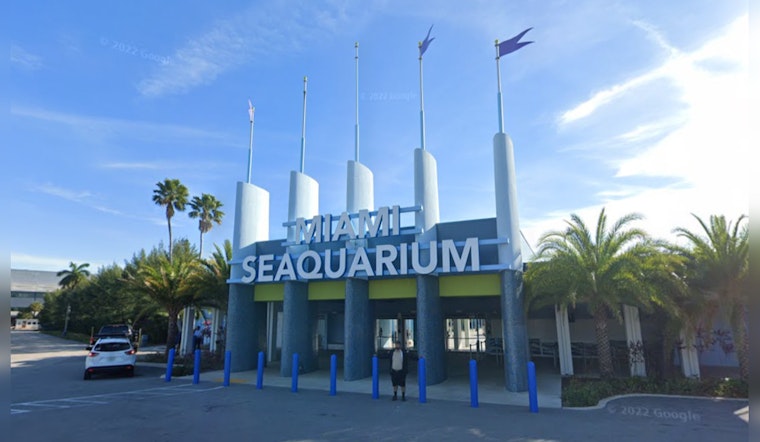 Woman's Body Discovered Floating Near Miami Seaquarium, Police Investigation Underway