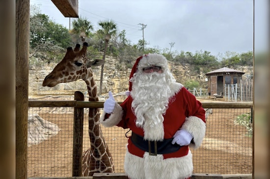 Zoo's 'Amazon'ing Christmas List! San Antonio Patrons Buy Joy for Jumbos & Jokers Alike