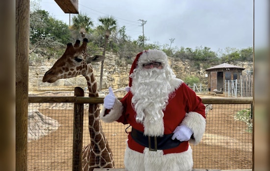 Zoo's 'Amazon'ing Christmas List! San Antonio Patrons Buy Joy for Jumbos & Jokers Alike