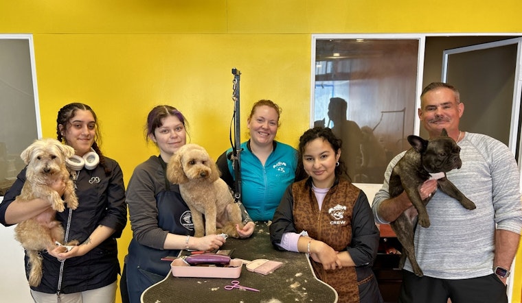 Castro canine baths MudPuppy's Tub & Scrub expands into adjacent storefront