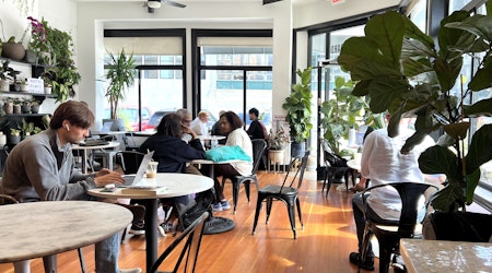 Fiddle Fig Cafe Serves Up Friendly Vibes and Tasty Bites in North Beach