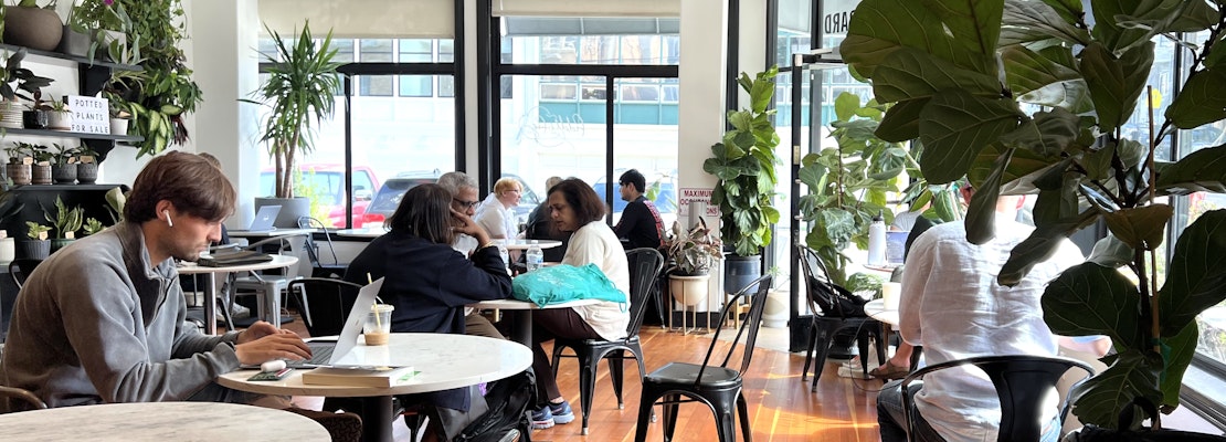 Fiddle Fig Cafe Serves Up Friendly Vibes and Tasty Bites in North Beach