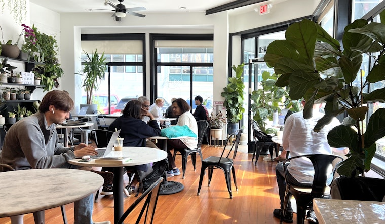 Fiddle Fig Cafe Serves Up Friendly Vibes and Tasty Bites in North Beach