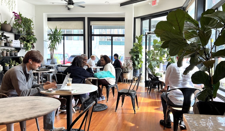 Fiddle Fig Cafe Serves Up Friendly Vibes and Tasty Bites in North Beach