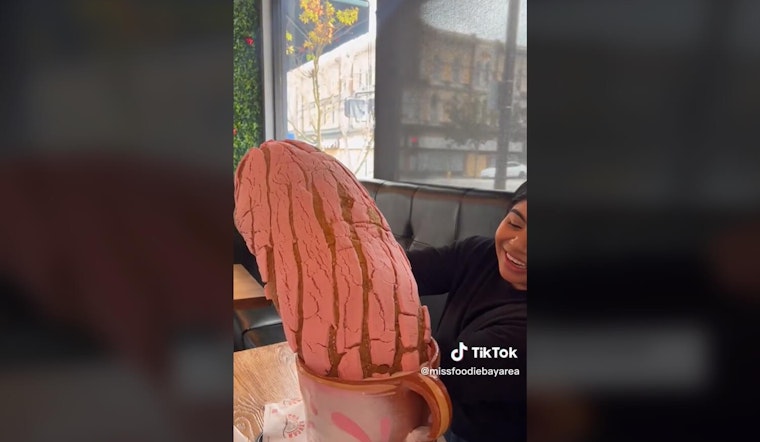 Con Azucar Café Serves Up Giant Conchas and Social Media Frenzy in San Jose