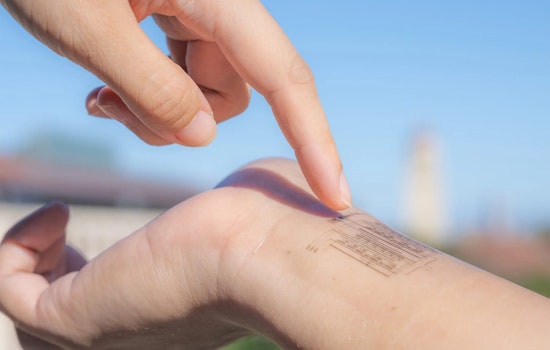 Stanford Team's Revolutionary Electronic Skin Brings Sensation to Prosthetics and Robotics