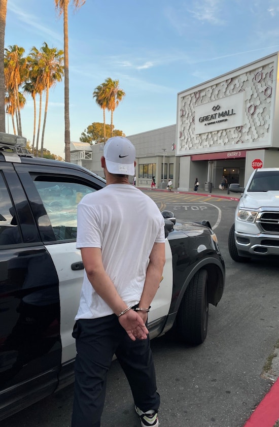 11 People Arrested for Shoplifting and Grand Theft in Milpitas