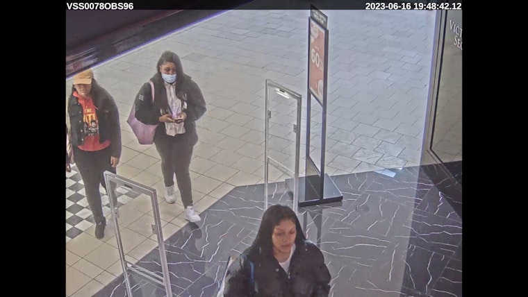 Retail Crime Wave Strikes San Mateo: Can You Help Identify the Suspects?