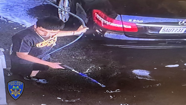 Unidentified Driver Sought in Fatal Hit-and-Run of Oakland Grandmother