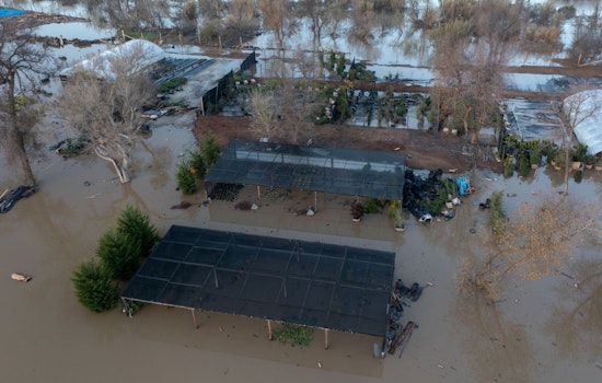 El Niño Strikes: What to Expect in the Bay Area and Beyond