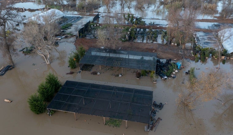 El Niño Strikes: What to Expect in the Bay Area and Beyond