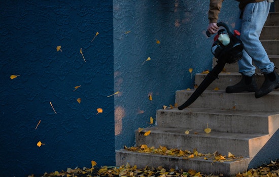 Palo Alto Gas-Powered Leaf Blower Crackdown