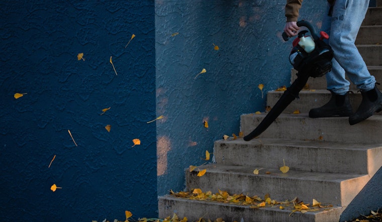 Palo Alto Gas-Powered Leaf Blower Crackdown