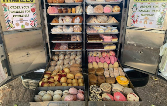 TikTok Famous Bakery on Wheels in San Jose Van Stolen and Destroyed: GoFundMe Page Launched