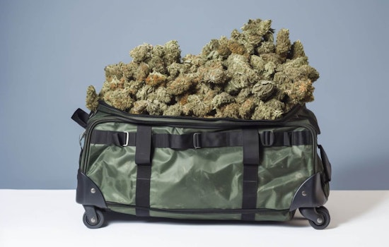 Massive Marijuana-Theft Scheme at San Francisco Airport Lands Two United Airlines Employees Charged