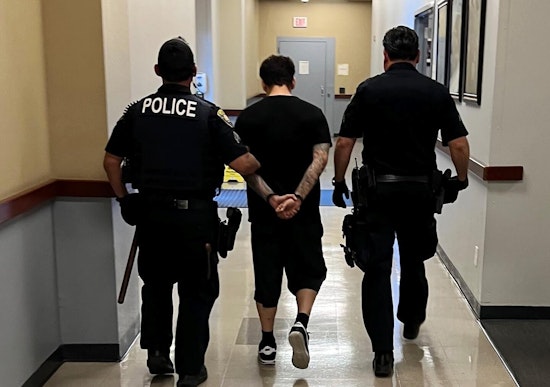 "Operation Spring Cleaning" Uncovers 7 Bay Area Child Predators and Seizes Illegal Firearms