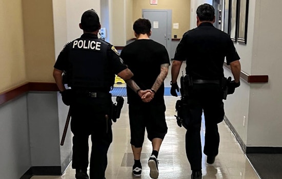 "Operation Spring Cleaning" Uncovers 7 Bay Area Child Predators and Seizes Illegal Firearms