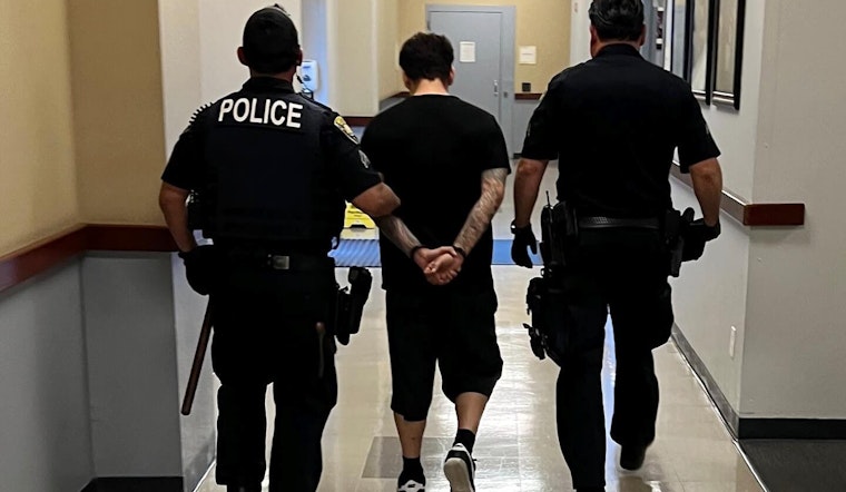 "Operation Spring Cleaning" Uncovers 7 Bay Area Child Predators and Seizes Illegal Firearms