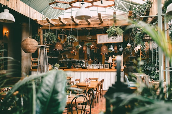 Will the Bay Area Soon See Amsterdam-Style Cannabis Coffee Shops?