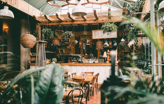 Will the Bay Area Soon See Amsterdam-Style Cannabis Coffee Shops?