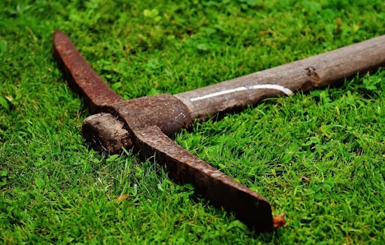San Carlos Victim Struck in the Head with Pickaxe, Police Detain Suspect