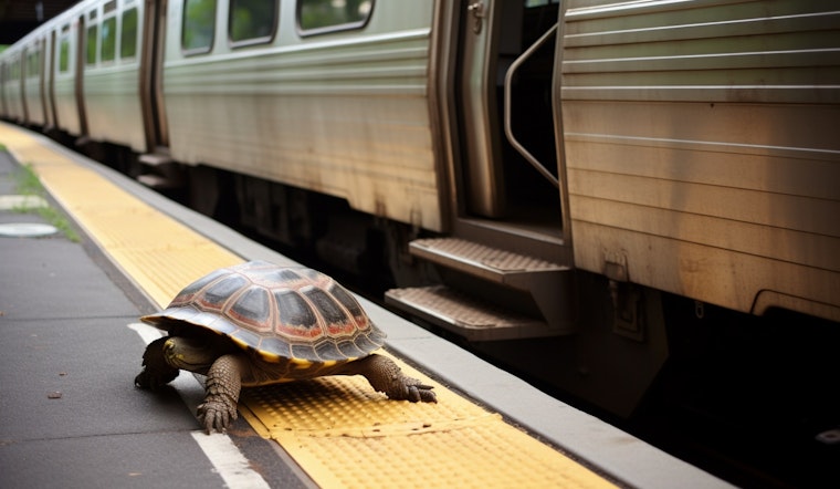 Union City BART Station Ground to a Halt for Turtle Rescue Mission Last Week