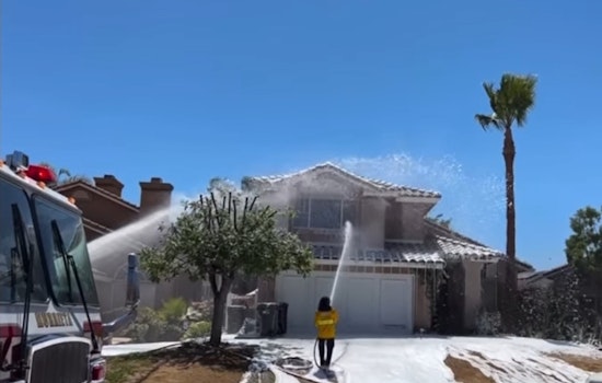 100,000 'Angry' Bees Hospitalize Firefighter & Murrieta Homeowner Who Was Stung 100 Times; "That Could Be Fatal"