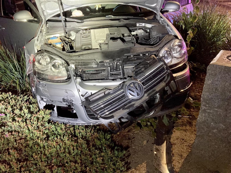 Teen Wreaks Havoc in San Mateo: Drunk Driving, Officer Assault, and Attempted Bite