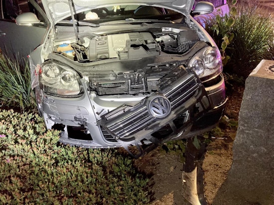 Teen Wreaks Havoc in San Mateo: Drunk Driving, Officer Assault, and Attempted Bite
