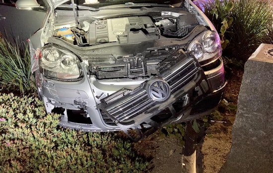 Teen Wreaks Havoc in San Mateo: Drunk Driving, Officer Assault, and Attempted Bite