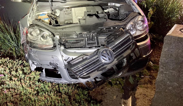 Teen Wreaks Havoc in San Mateo: Drunk Driving, Officer Assault, and Attempted Bite