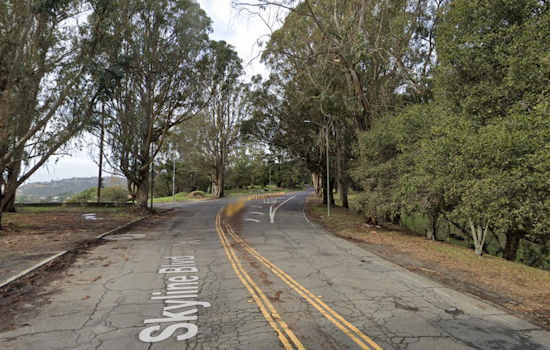 Video: Bay Area Woman Escapes Terrifying Carjacking Attempt in Oakland Hills