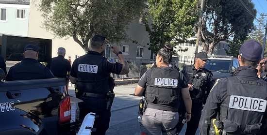 Chilling San Mateo Stabbing Homicide: Police Hunt for Suspect