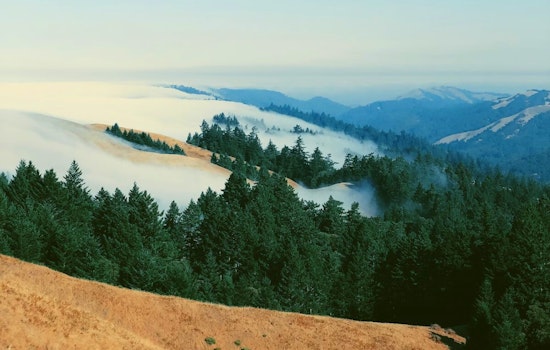 Eliminating Entry Fees for All Parks, Marin County Embraces Equity