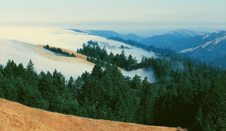 Eliminating Entry Fees for All Parks, Marin County Embraces Equity