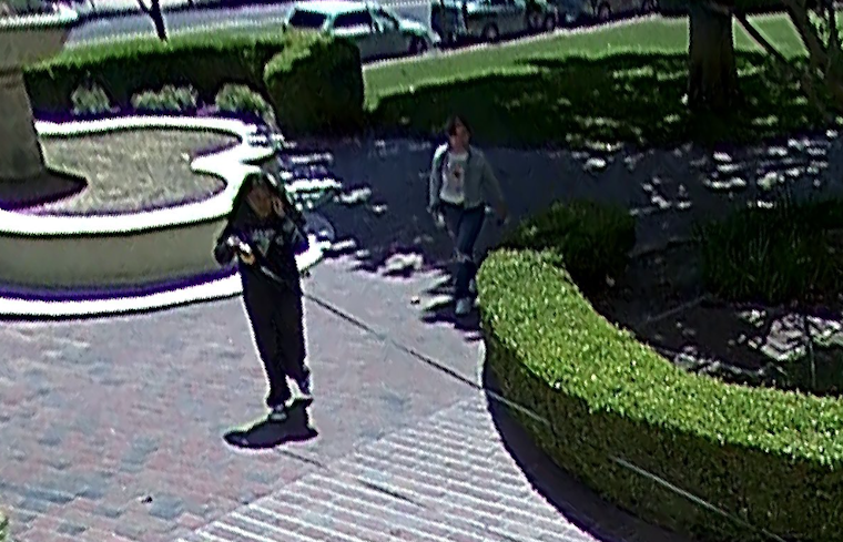 UPDATE: Heartless Duo Snatch Beloved Cavapoo Therapy Dog Tied to Flagpole in San Rafael