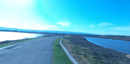 Palo Alto Trail's Teen Groping Menace Apprehended by Mountain View Police