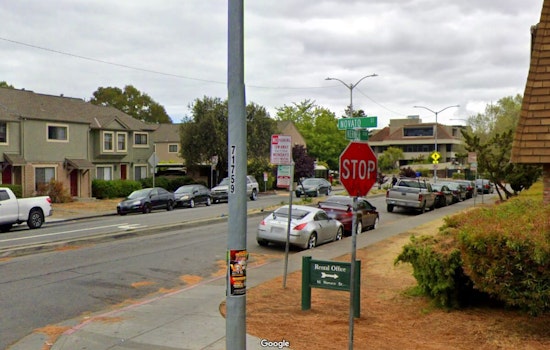 Lunatic Unexpectedly Stabs San Rafael Man Who Was Walking His Dog; Suspect Faces Attempted Murder Charges