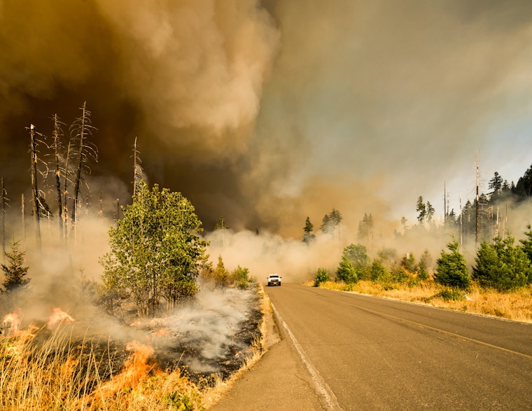 North Bay Leads the Way: AI Wildfire Detection Tech Hits Test Run This Summer