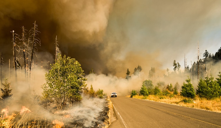 North Bay Leads the Way: AI Wildfire Detection Tech Hits Test Run This Summer