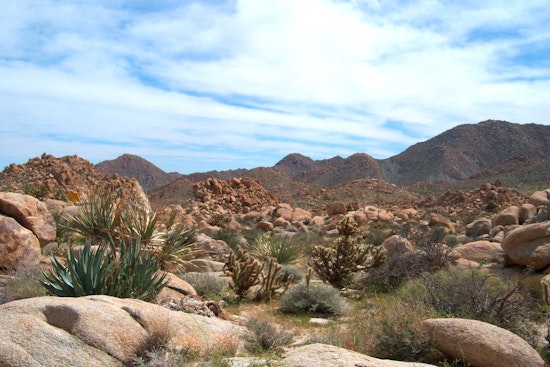 Heroic Mountain Biker Dies Amidst Courageous Rescue Effort to Save Dehydrated Hikers in San Diego's Jacumba Mountains