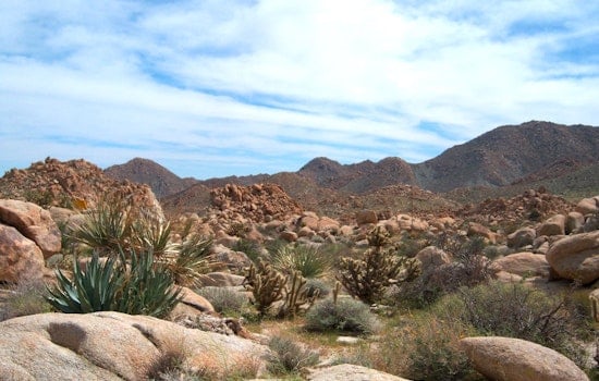 Heroic Mountain Biker Dies Amidst Courageous Rescue Effort to Save Dehydrated Hikers in San Diego's Jacumba Mountains