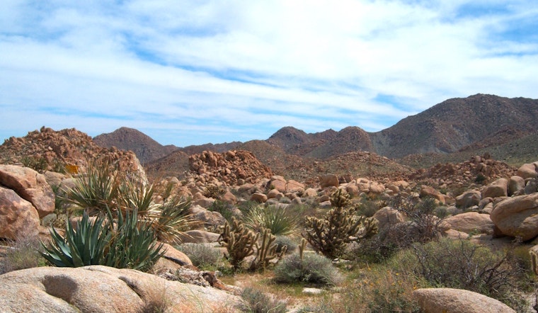 Heroic Mountain Biker Dies Amidst Courageous Rescue Effort to Save Dehydrated Hikers in San Diego's Jacumba Mountains