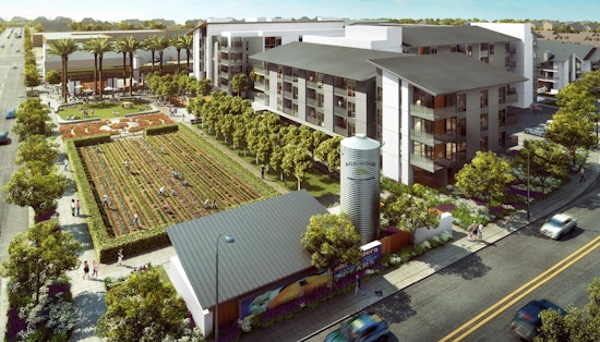 Groundbreaking Agrihood Bloom in Santa Clara: Sustainable Urban Oasis for Seniors and Veterans