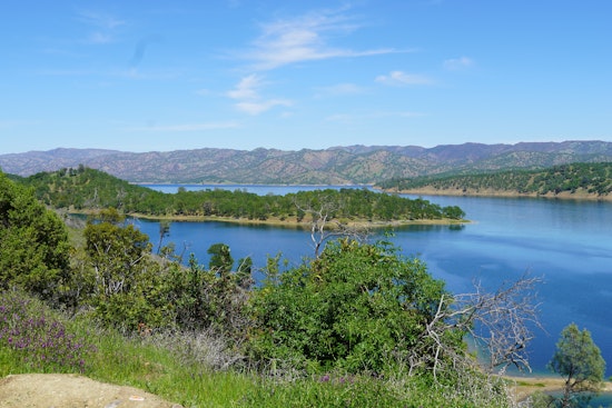 Richmond Man Loses Part of Hand in Boat Propeller Tragedy at Lake Berryessa