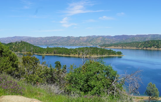 Richmond Man Loses Part of Hand in Boat Propeller Tragedy at Lake Berryessa